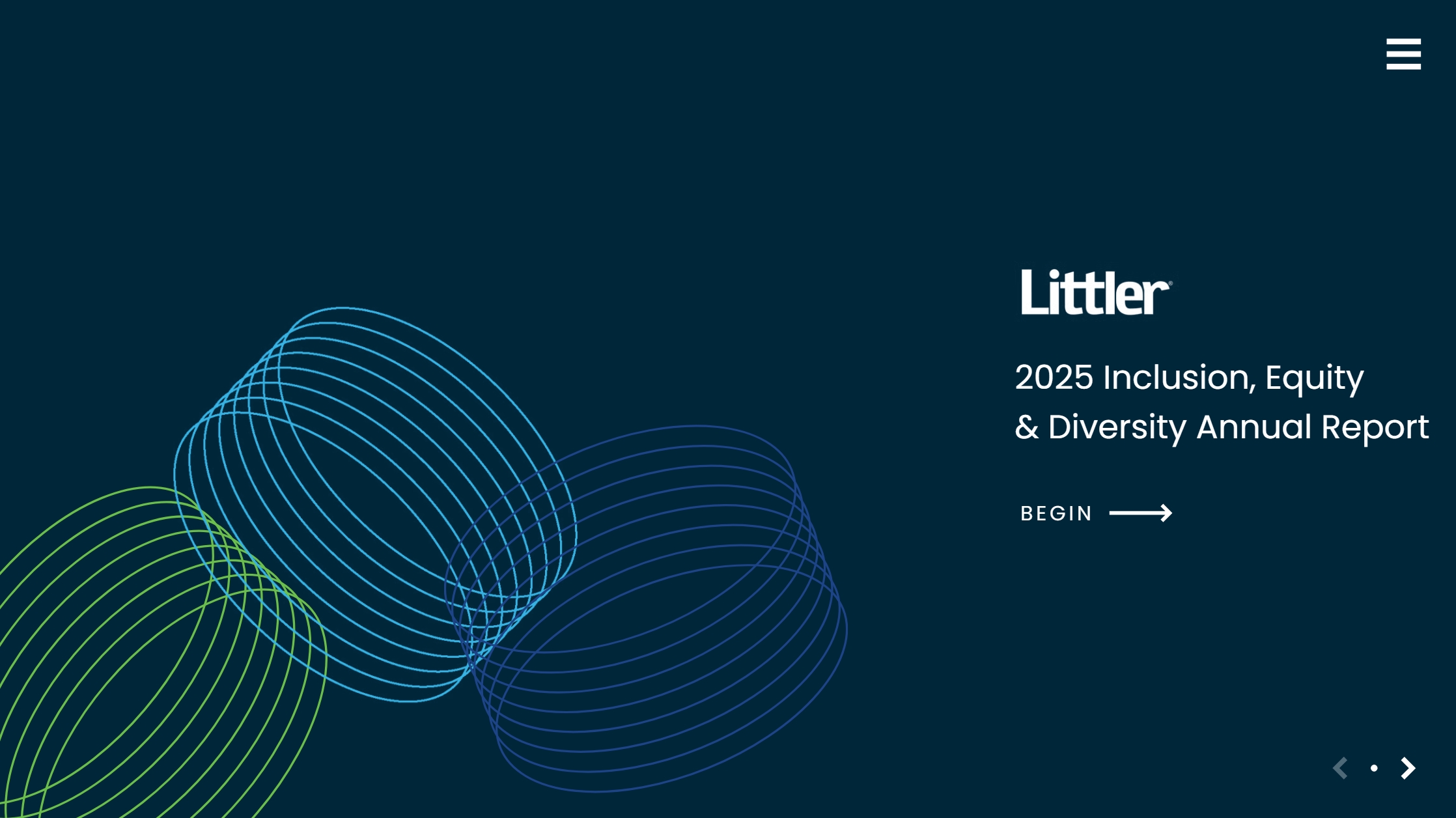 2025 IE&D Report